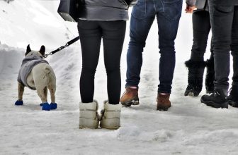 Het ultieme gemak van schoen drogers: droge voeten in een handomdraai